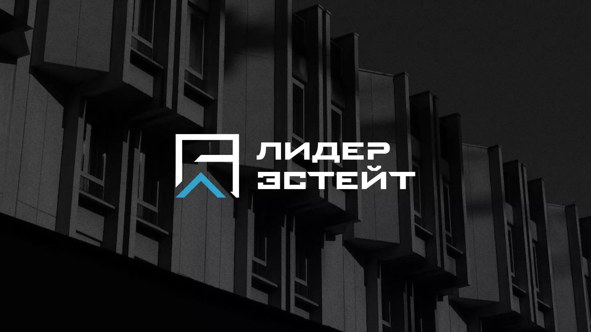 Разработка логотипа агентства недвижимости «Лидер Эстейт» в Шарыпово